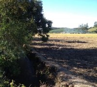 Terreno com 124.301,30m²