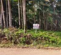 Terreno com 6.516,81m²