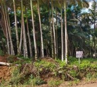 Terreno com 6.516,81m²