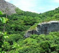 Terreno rural área verde