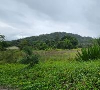 Amplo Terreno
