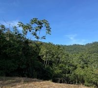 Terreno com 1.356,15m²