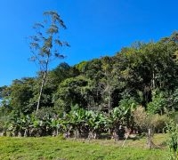 Terreno com 30.833,77m²