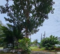 Terreno com 960m²