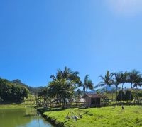 Terreno com 50.012,57m²