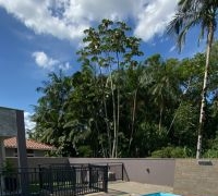 Casas em Condomínio Fechado - Residencial Macau